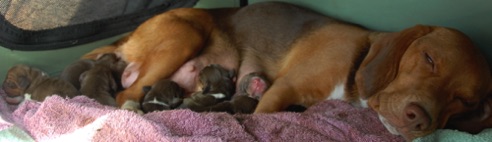 Piper LOVED being Mom